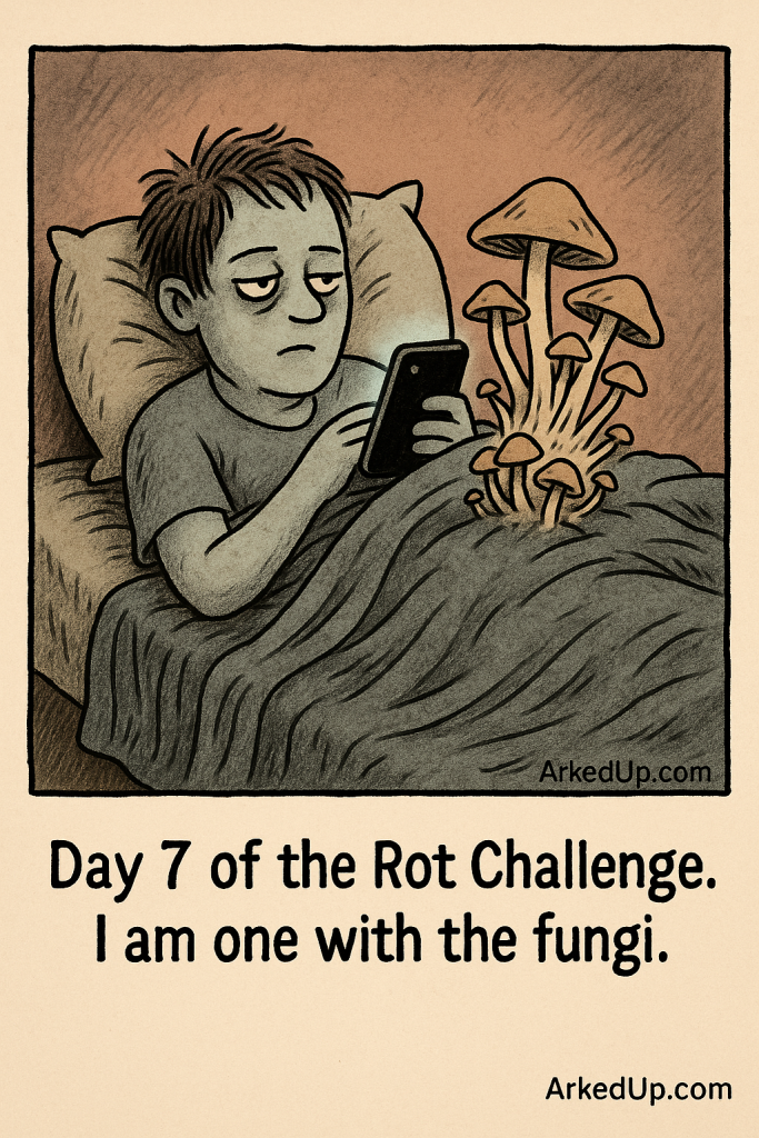 Bed Rotting